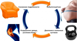 Проблема остеоартроза (ОА) коленного сустава у пациентов с избыточной массой тела и ожирением: вопросы этиологии и патогенеза (обзор литературы)