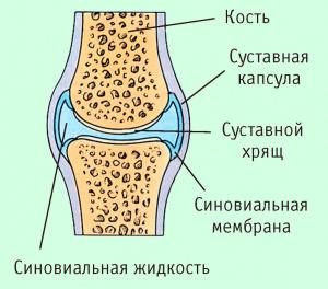Костное сращение и структурные изменения суставного хряща после срочного и отсроченного остеосинтеза антеградным блокирующим интрамедуллярным стержнем переломов диафиза бедра Костное сращение и структурные изменения суставного хряща после срочного и отсроченного остеосинтеза антеградным блокирующим интрамедуллярным стержнем переломов диафиза бедра