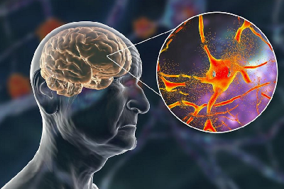 Искусственный интеллект помогает выявлять «невидимые» мутации в белках Искусственный интеллект помогает выявлять «невидимые» мутации в белках