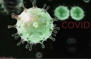 Структура острых экзотоксикозов в первые три месяца пандемии COVID-19 (по данным отделения острых отравлений ГБУЗ «НИИ скорой помощи им. Н.В. Склифосовского ДЗМ») Структура острых экзотоксикозов в первые три месяца пандемии COVID-19 (по данным отделения острых отравлений ГБУЗ «НИИ скорой помощи им. Н.В. Склифосовского ДЗМ»)