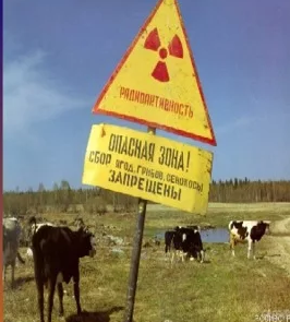 Эндокринолог предупредила о рисках проживания рядом с АЭС Эндокринолог предупредила о рисках проживания рядом с АЭС