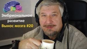 Эмбриональное развитие. Сергей Савельев (Вынос мозга #20) Эмбриональное развитие. Сергей Савельев (Вынос мозга #20)
