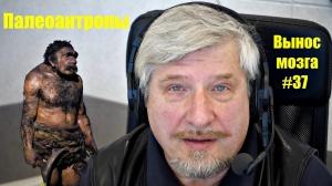 «Палеоантропы» Сергей Савельев (Вынос мозга №37) «Палеоантропы» Сергей Савельев (Вынос мозга №37)