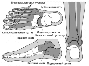 Маршевая стопа Маршевая стопа