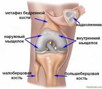 перелом, большеберцовая кость перелом, большеберцовая кость