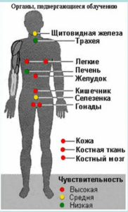 Радиационная гигиена. Л. А. Ильин, В. Ф. Кириллов, И. П. Коренков. Глава 3 Радиационная гигиена. Л. А. Ильин, В. Ф. Кириллов, И. П. Коренков. Глава 3