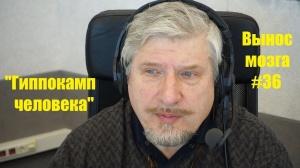 Савельев С.В. " Вынос мозга № 36. Гиппокамп" Савельев С.В. " Вынос мозга № 36. Гиппокамп"