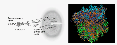 Рентген раскрывает тайны прочности стекла для Космоса и Атома Рентген раскрывает тайны прочности стекла для Космоса и Атома