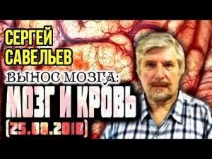 Савельев С.В. ВЫНОС МОЗГА №53 "Мозг и кровь" Савельев С.В. ВЫНОС МОЗГА №53 "Мозг и кровь"