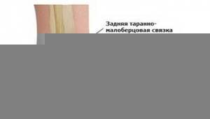Движения в поперечном предплюсневом сочленении Движения в поперечном предплюсневом сочленении