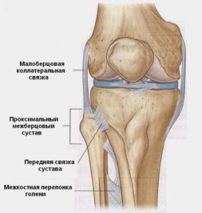 Результаты применения новых методик межберцового синостозирования у больных с обширными гетерогенными дефектами большеберцовой кости (обзор диссертационных материалов сотрудников ФГУ «РНЦ «ВТО» им. акад. Г.А. Илизарова Росмедтехнологий») Результаты применения новых методик межберцового синостозирования у больных с обширными гетерогенными дефектами большеберцовой кости (обзор диссертационных материалов сотрудников ФГУ «РНЦ «ВТО» им. акад. Г.А. Илизарова Росмедтехнологий»)