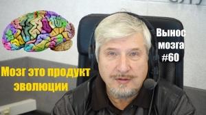 С.В. Савельев«Мозг-продукт эволюции» Сергей Савельев (Вынос мозга №60) С.В. Савельев«Мозг-продукт эволюции» Сергей Савельев (Вынос мозга №60)