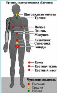Радиационная гигиена. Л. А. Ильин, В. Ф. Кириллов, И. П. Коренков. Глава 16 Радиационная гигиена. Л. А. Ильин, В. Ф. Кириллов, И. П. Коренков. Глава 16