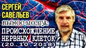 «Нервные клетки» Сергей Савельев (Вынос мозга №61) «Нервные клетки» Сергей Савельев (Вынос мозга №61)
