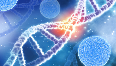 Открыт новый способ синтеза ДНК