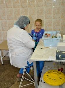 Кальцификация биоматериалов Кальцификация биоматериалов