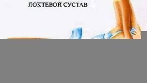 Суставные поверхности Суставные поверхности