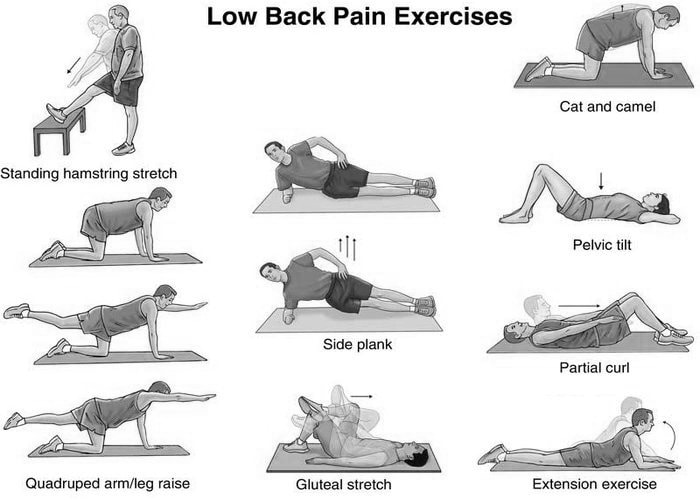 LowBackPiain_05.jpg LowBackPiain_05.jpg
