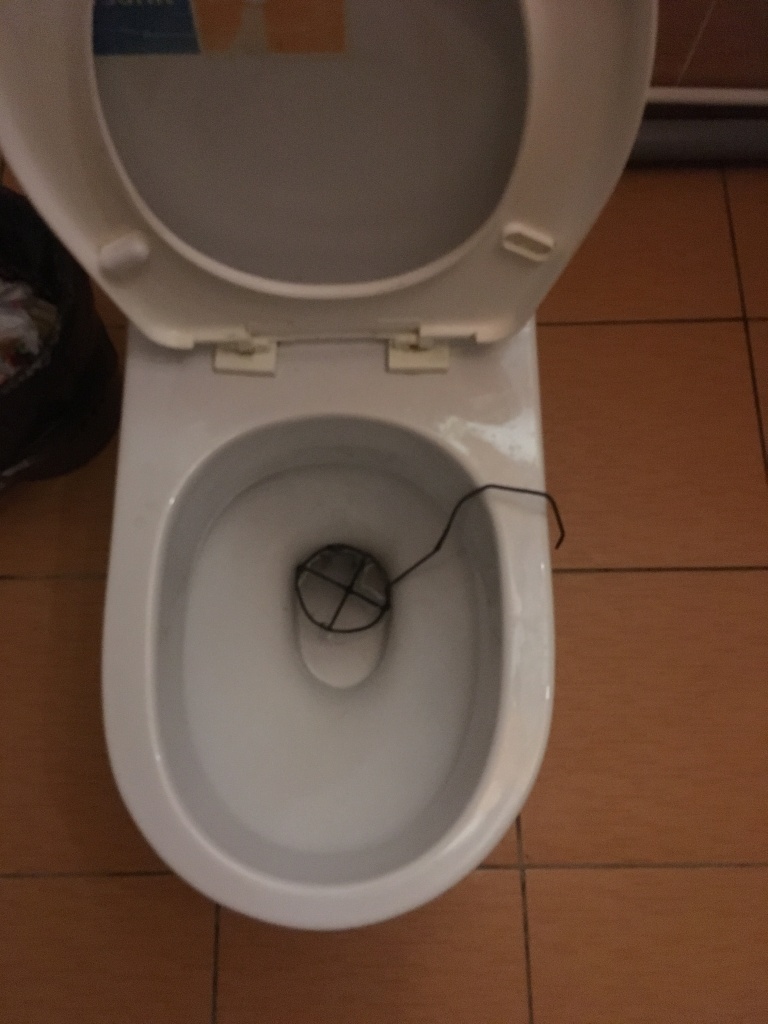unitaz_demenciya.JPG
