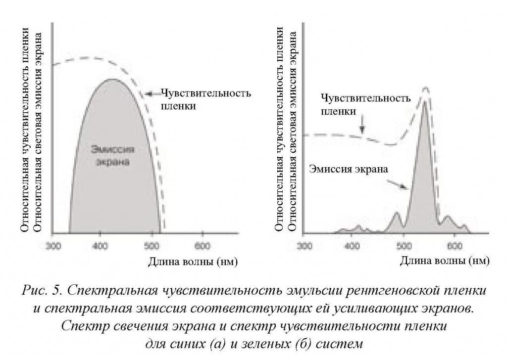 Спектральная чувствительность эмульсии рентгенпленки Спектральная чувствительность эмульсии рентгенпленки