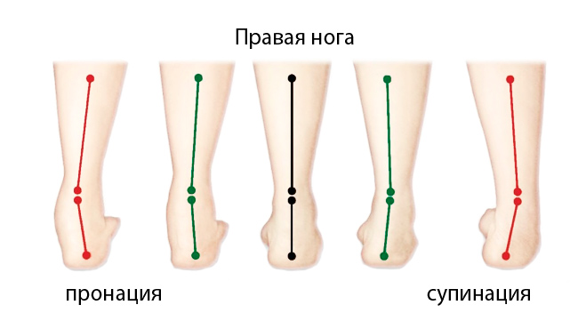 Пронация и супинация стопы
